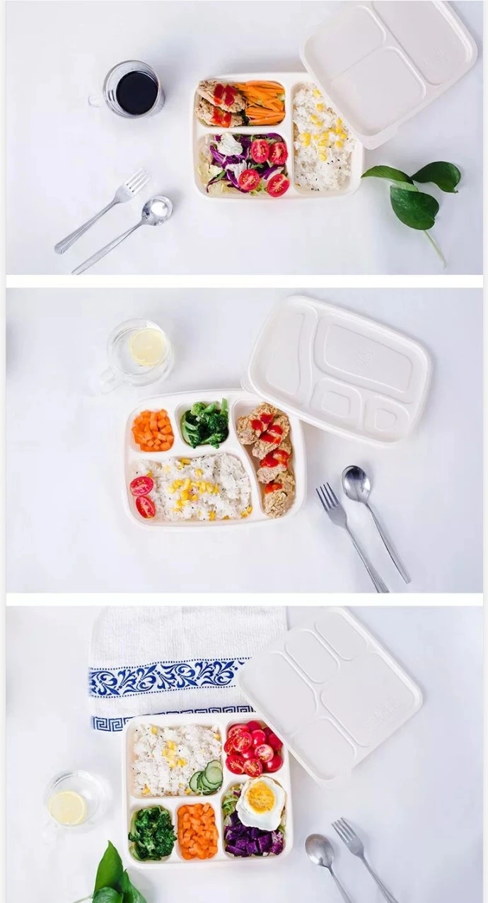 Fries Dispos Lunch Box Food Buy Disposable Foods Compartments Container