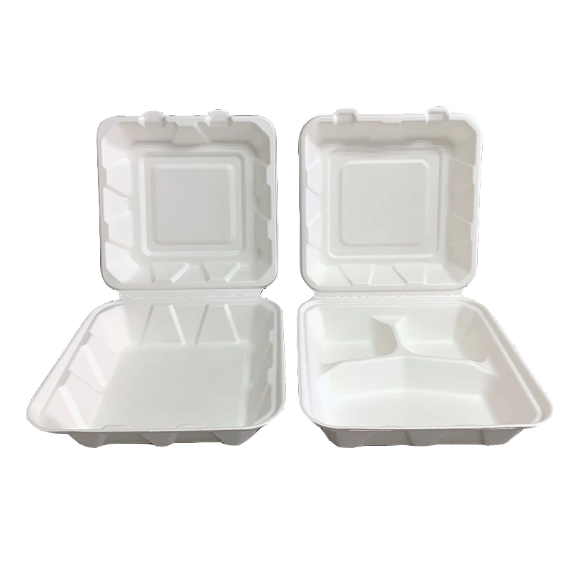 Natural Plant Fiber Environmentally Friendly FSC/FDA/LFGB 3 Compartment Disposable Tablewar E Co Pulp Packaging Zero Waste Lunch Box