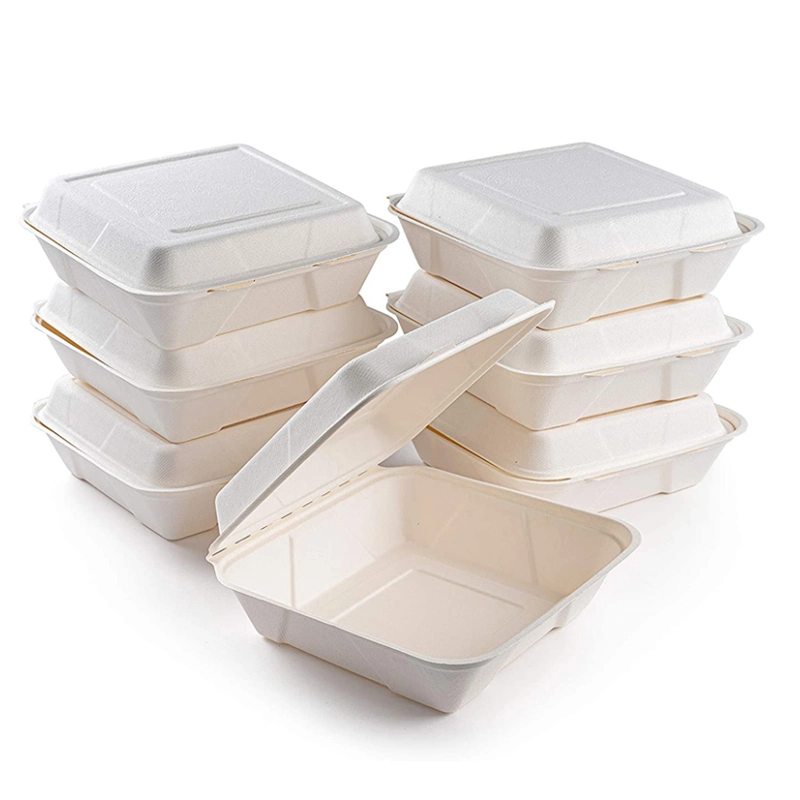 Natural Plant Fiber Environmentally Friendly FSC/FDA/LFGB 3 Compartment Disposable Tablewar E Co Pulp Packaging Zero Waste Lunch Box